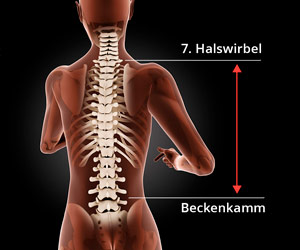 Rückenlänge messen