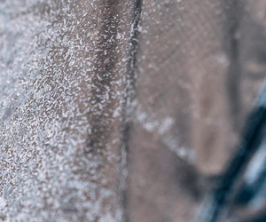 Wassersäule bei Zelten