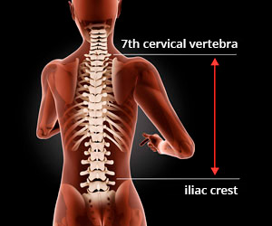 Measuring back length